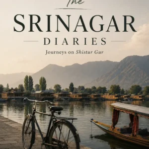 The Srinagar Diaries