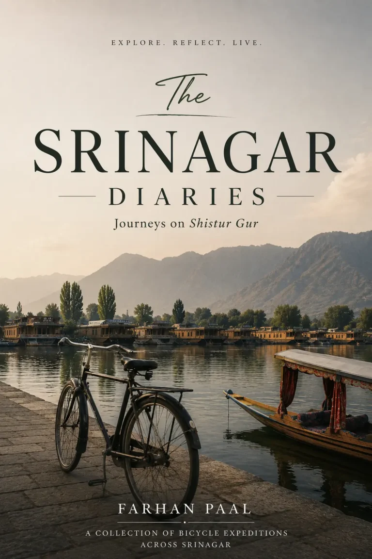 The Srinagar Diaries