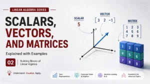 Scalars, Vectors, and Matrices Explained with Examples